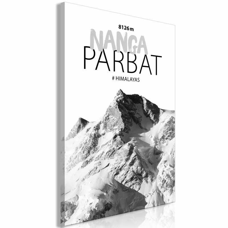 Obraz - Nanga Parbat (1-cześciowy) pionowy - obrazek 1