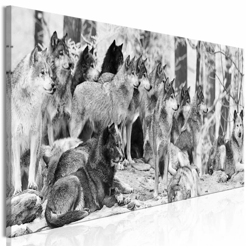 Obraz - Wataha wilków (1-częściowy) wąski - obrazek 1