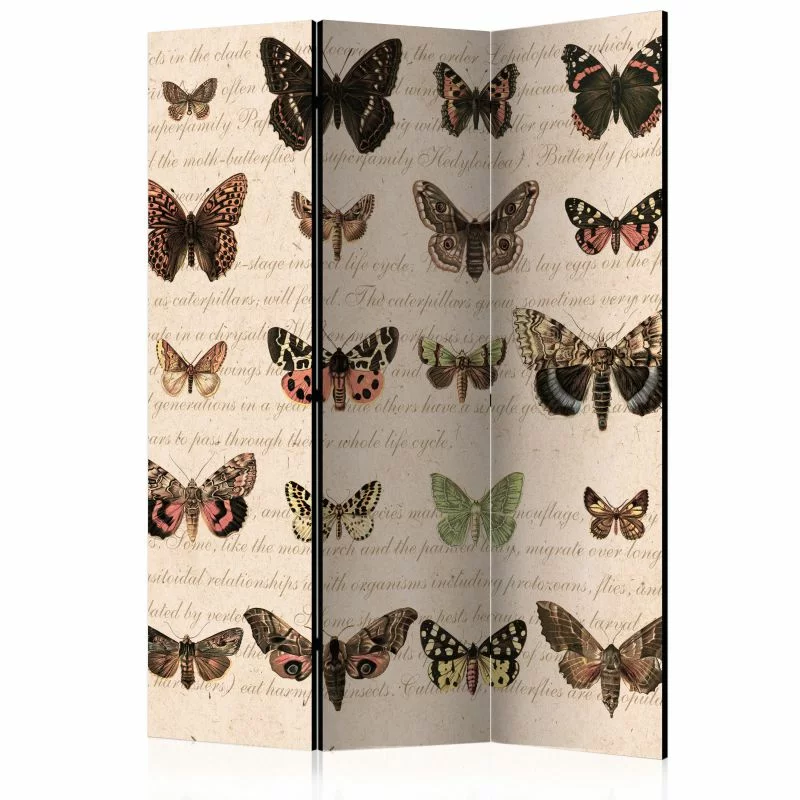 Parawan 3-częściowy - Styl retro: Motyle [Parawan] - obrazek 1