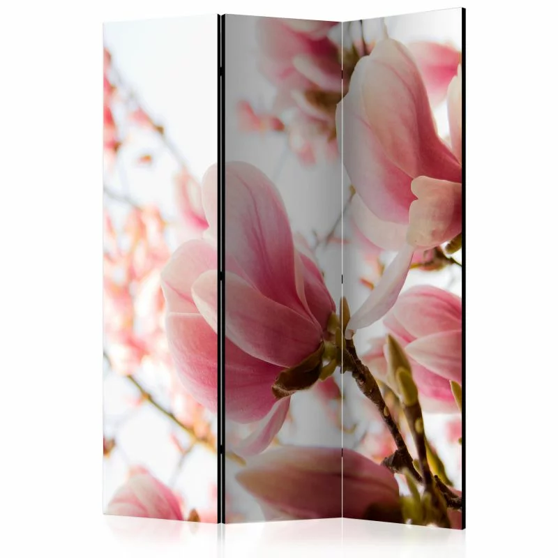 Parawan - Różowa magnolia - obrazek 1