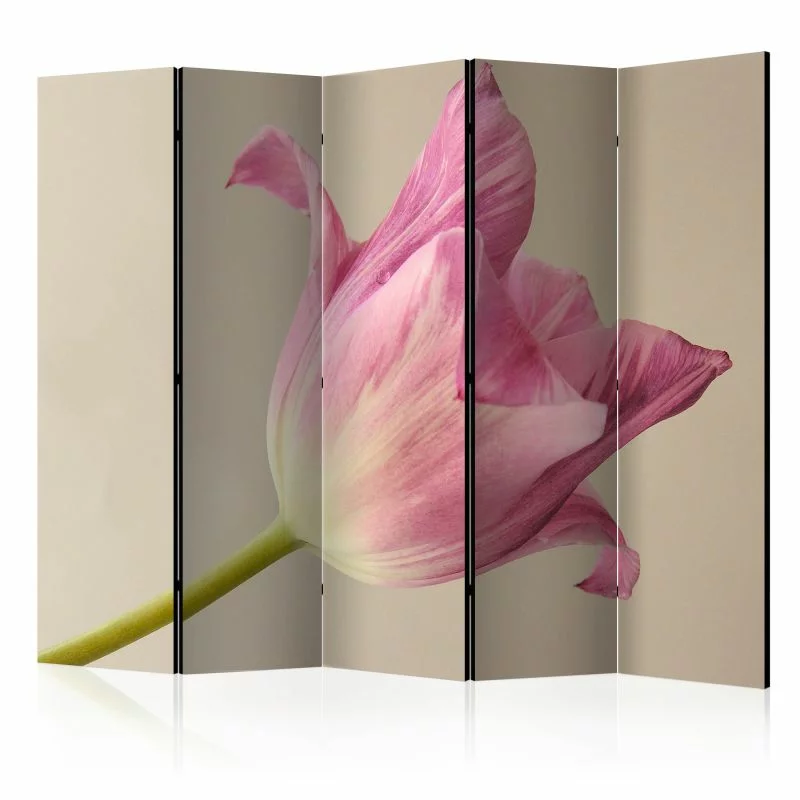 Parawan 5-częściowy - Pink tulip II