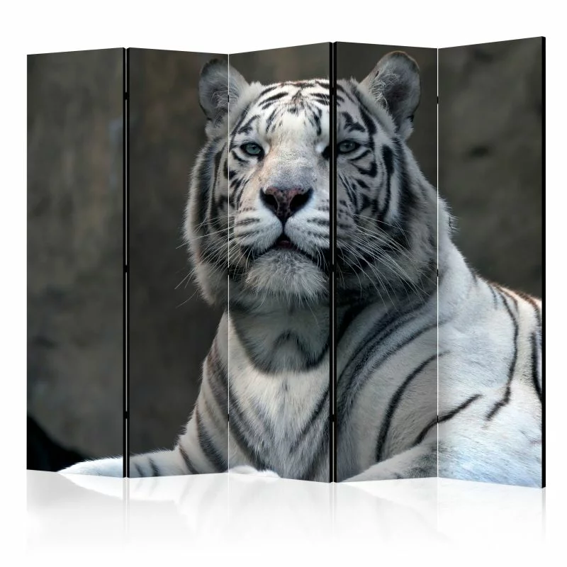 Parawan 5-częściowy - Tygrys bengalski w zoo II