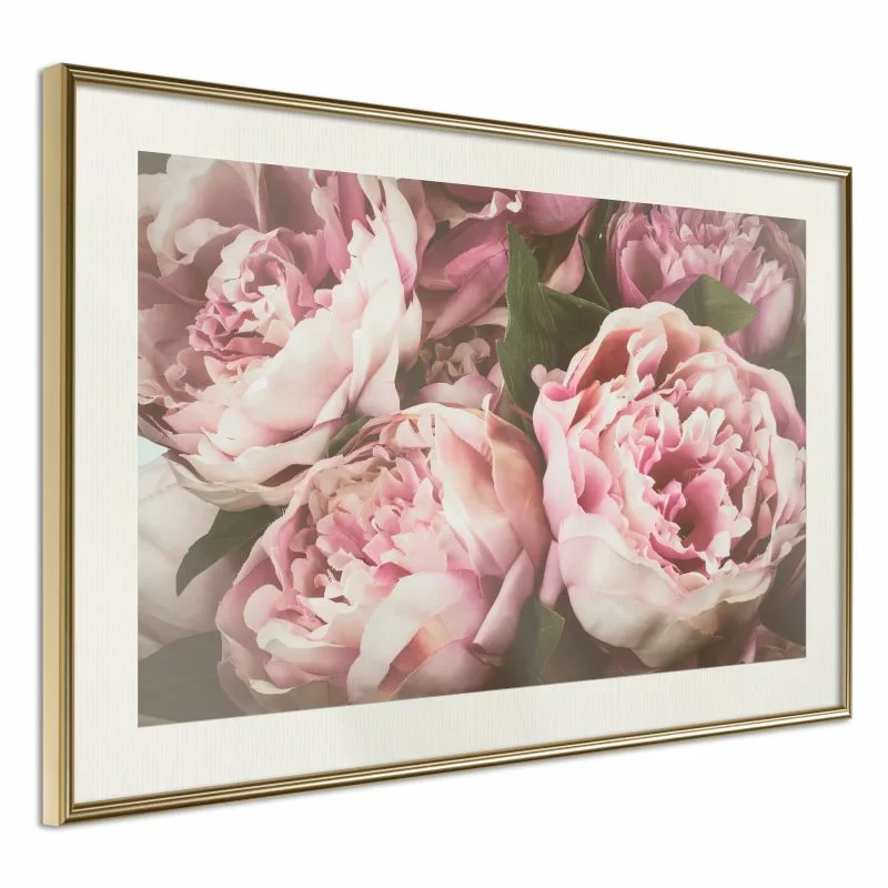 Plakat - Pastelowe peonie - obrazek 1