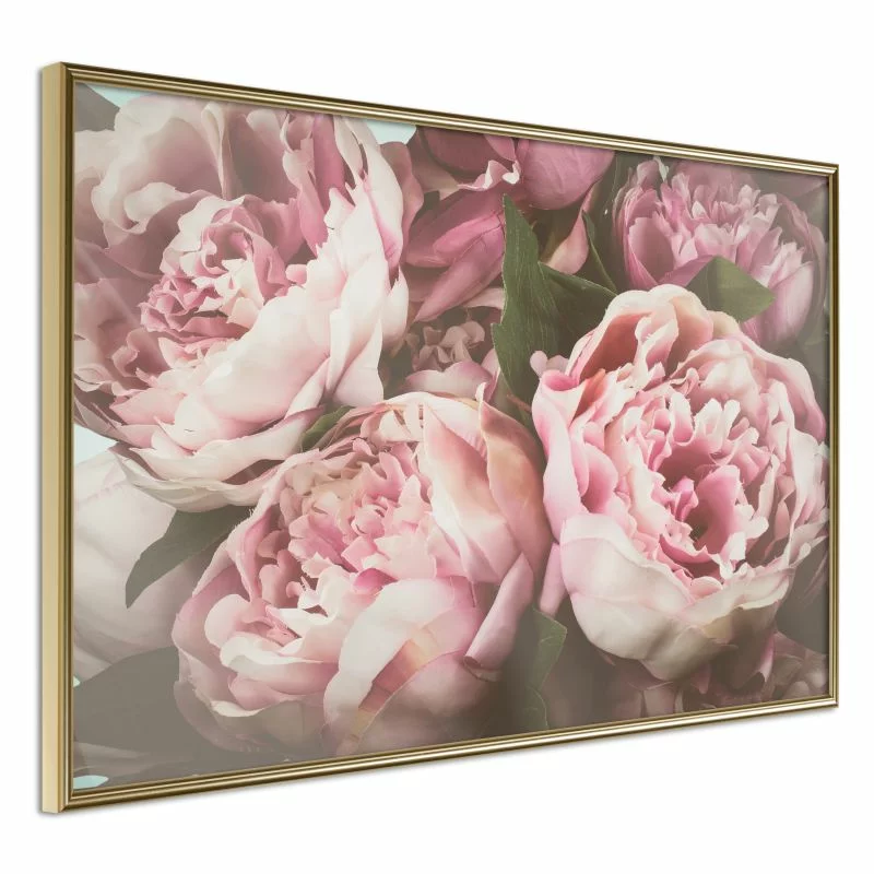 Plakat - Pastelowe peonie - obrazek 1