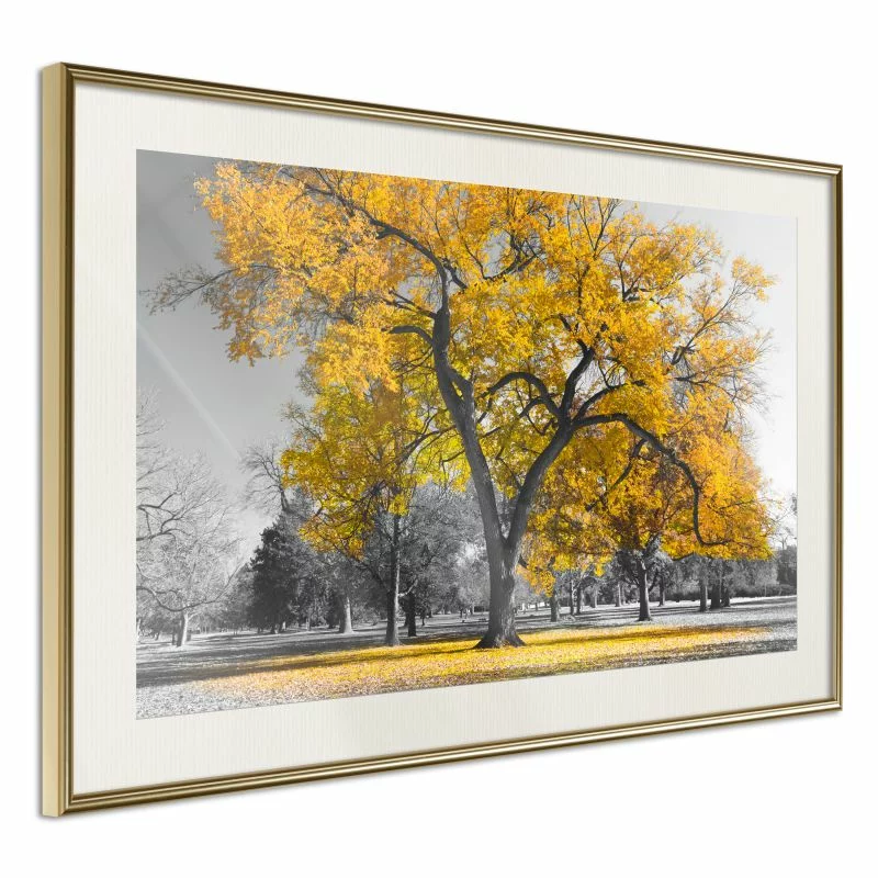 Plakat - Złote drzewo