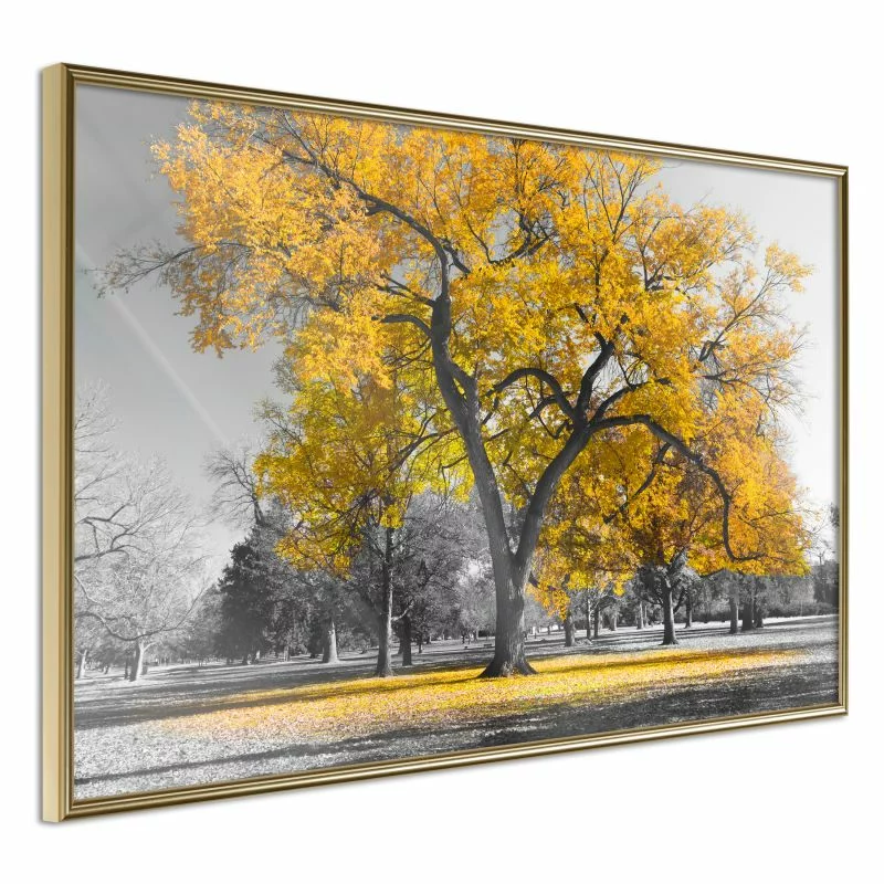 Plakat - Złote drzewo