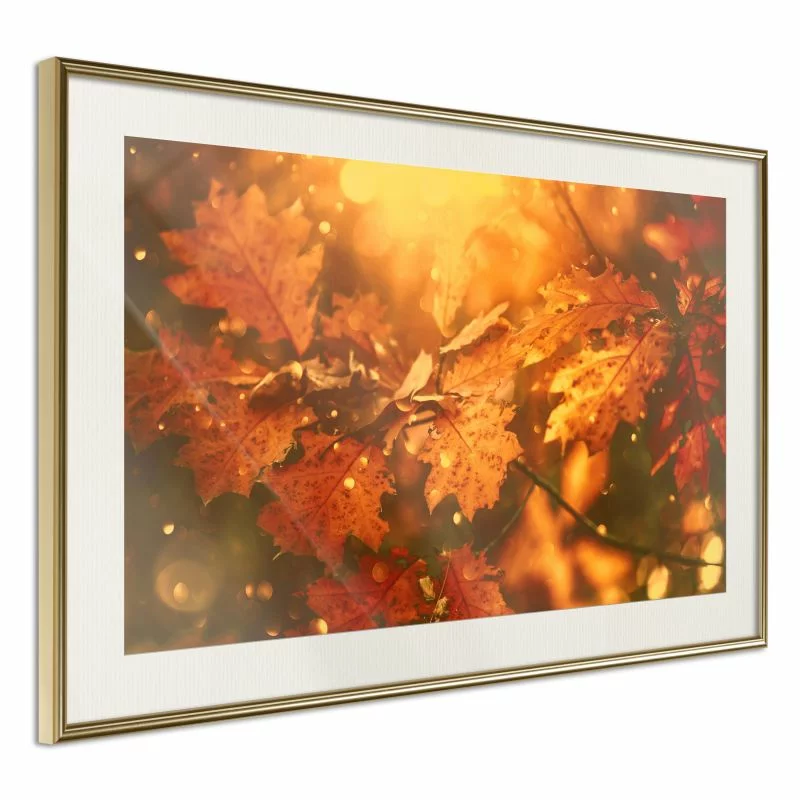 Plakat - Złota jesień