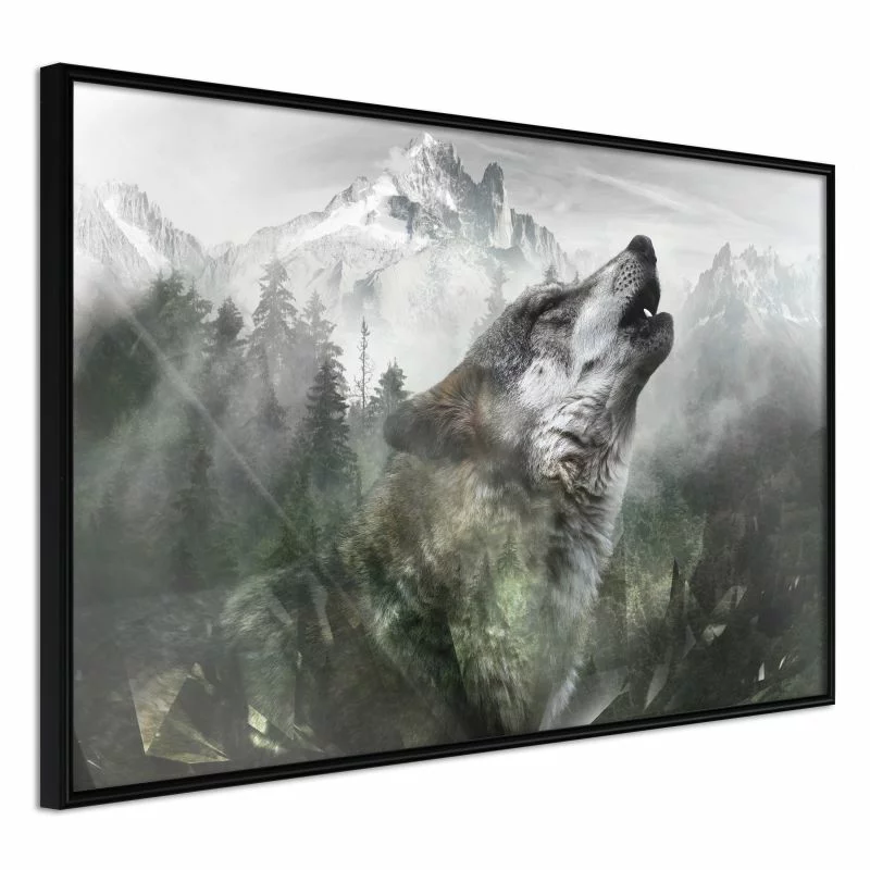 Plakat - Wilcze terytorium - obrazek 1