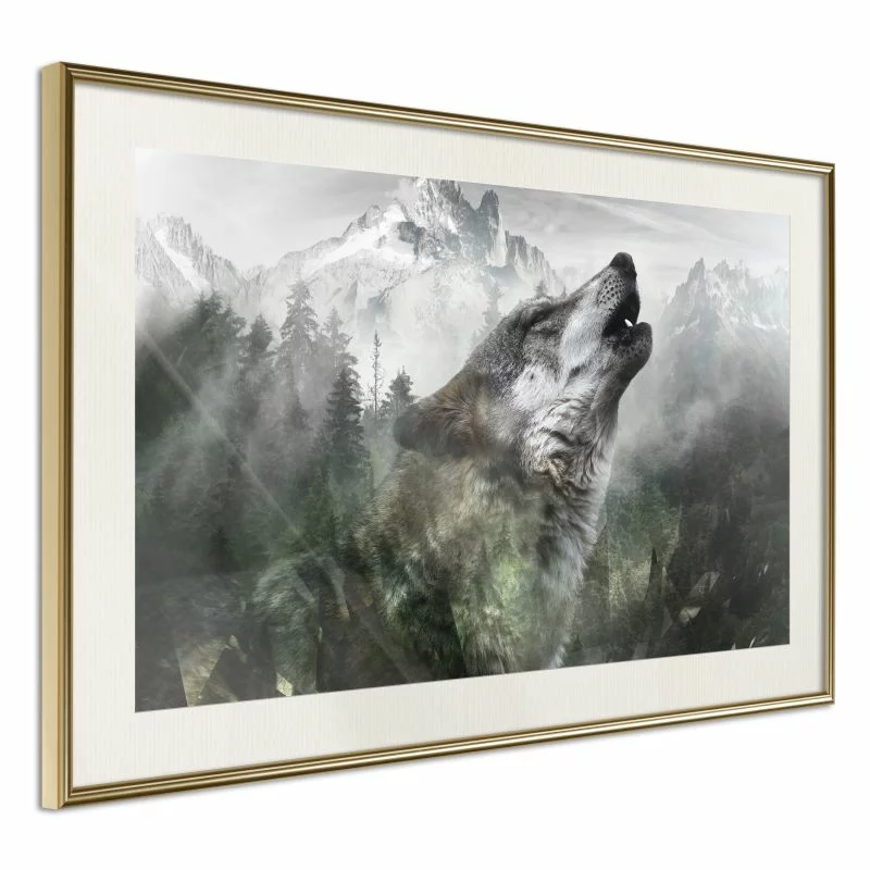 Plakat - Wilcze terytorium - obrazek 1