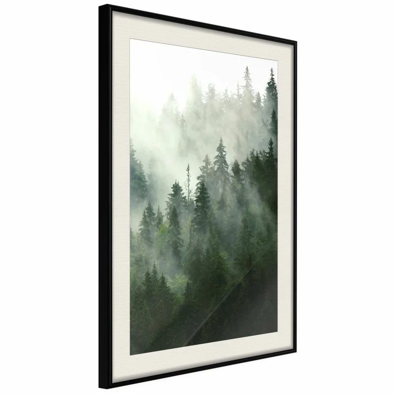 Plakat - Parujący las