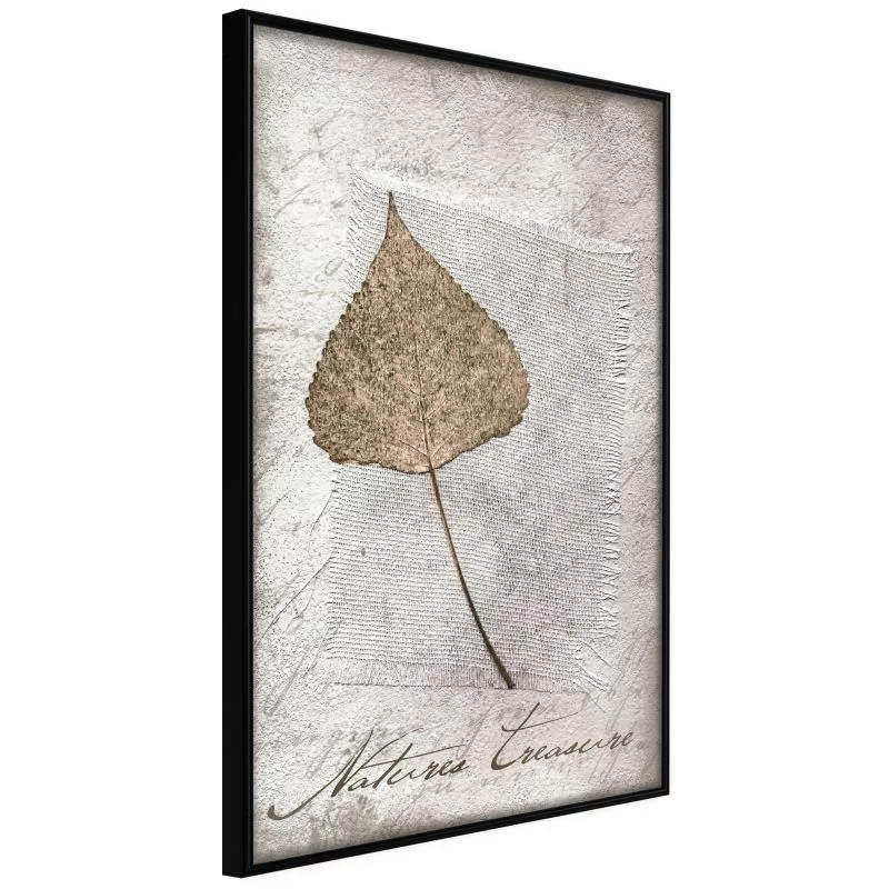 Plakat - Zasuszony liść