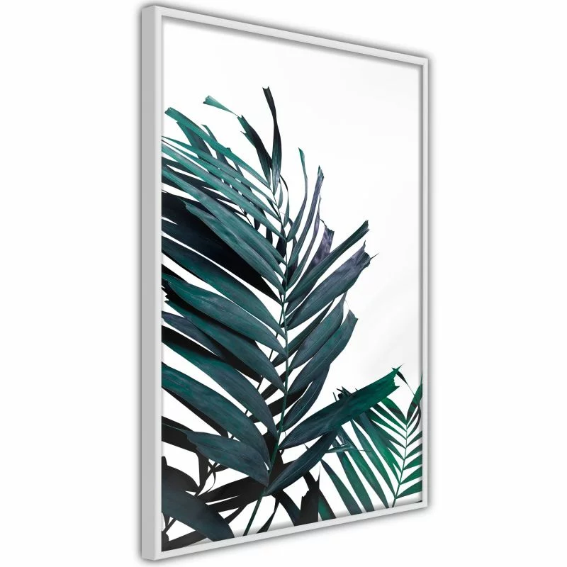 Plakat - Wiecznie zielone liście palmy