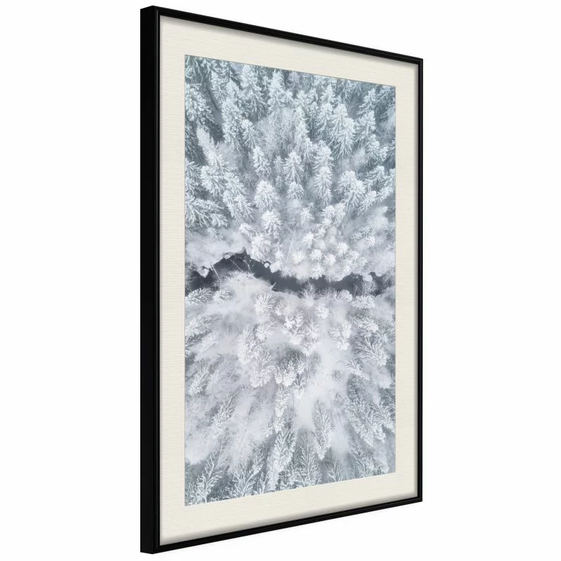 Plakat - Zimowy las z lotu ptaka