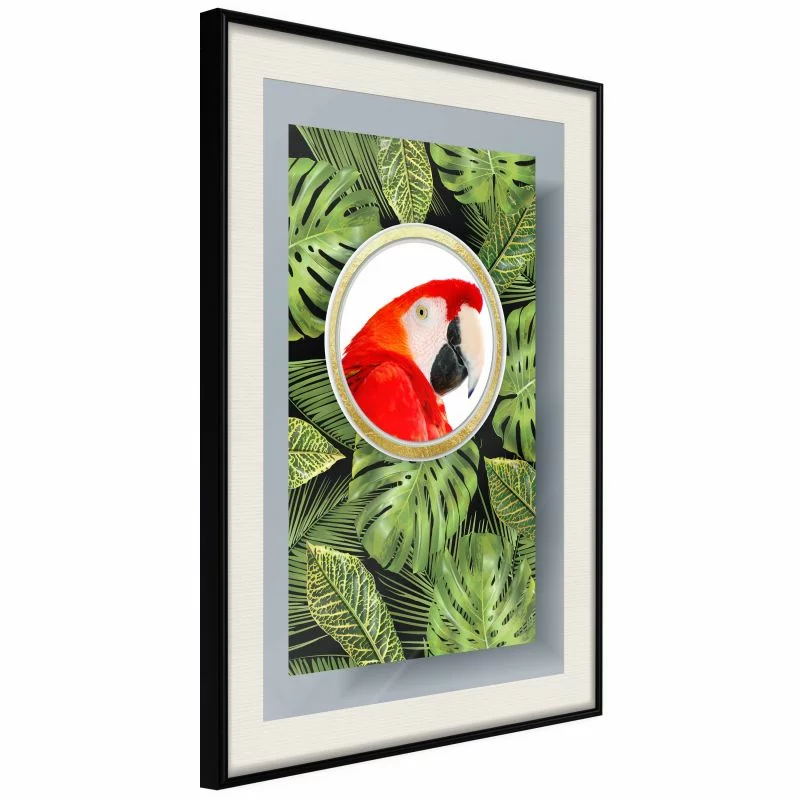 Plakat - Papuga pozdrawia - obrazek 1