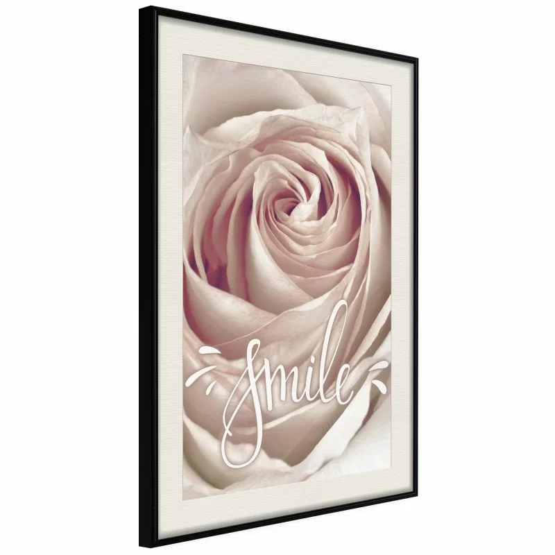Plakat - Róża z przesłaniem - obrazek 1