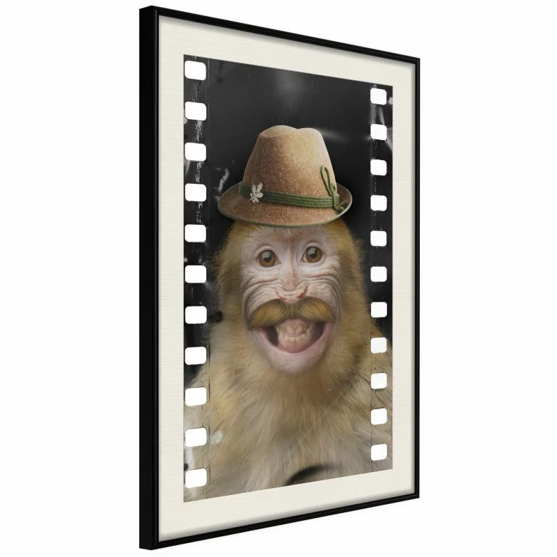 Plakat - Przebrana małpka - obrazek 1