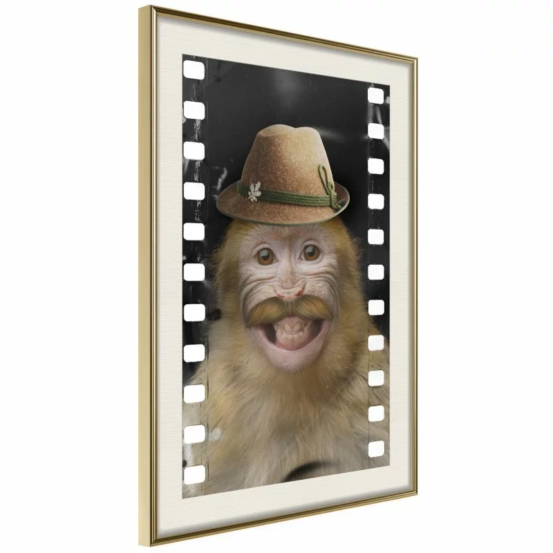 Plakat - Przebrana małpka - obrazek 1
