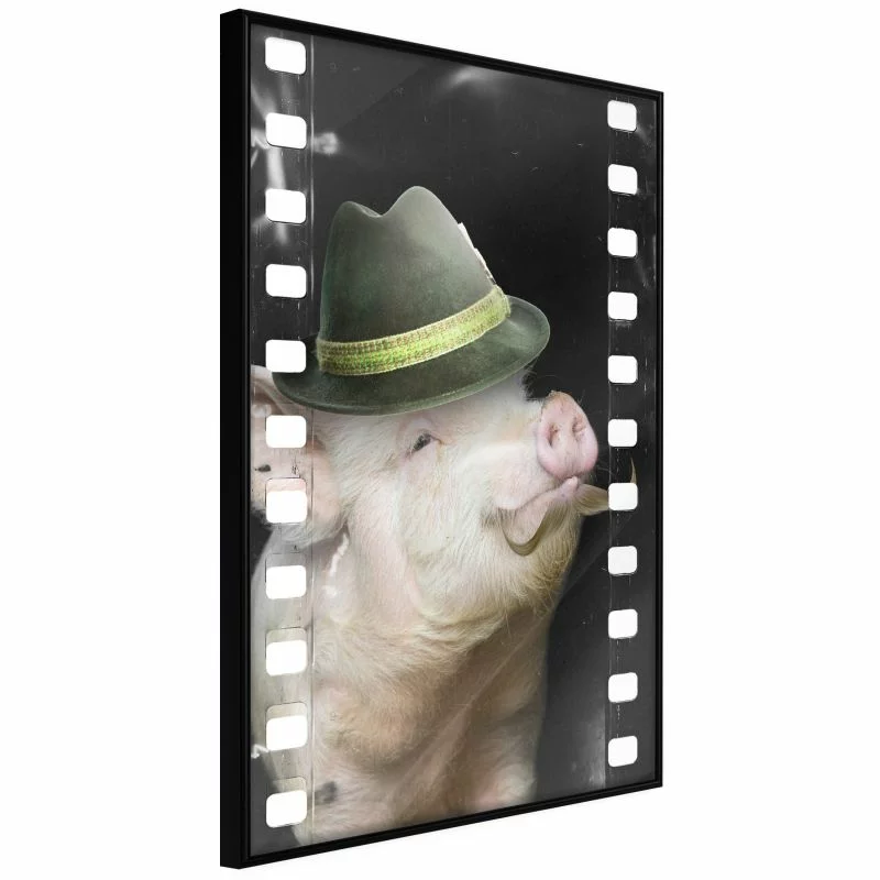 Plakat - Przebrana świnka