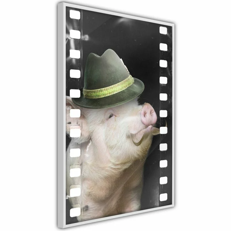 Plakat - Przebrana świnka