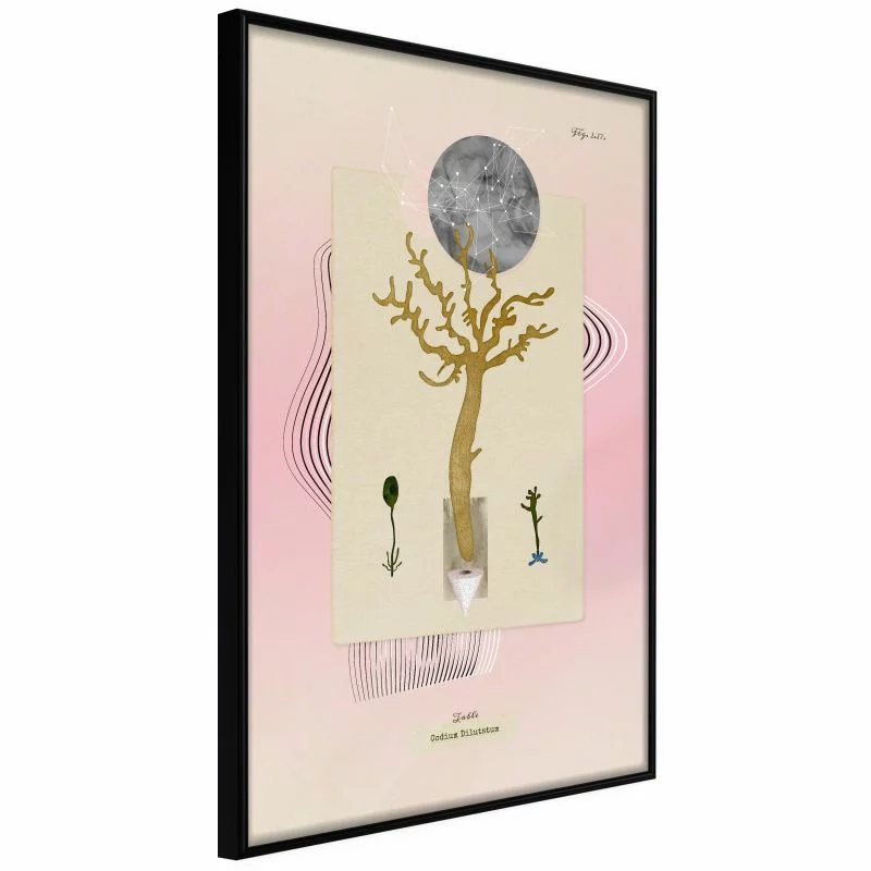 Plakat - Roślina wodna - obrazek 1