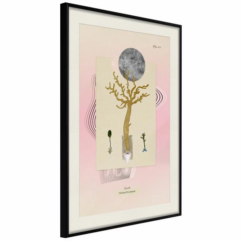 Plakat - Roślina wodna - obrazek 1