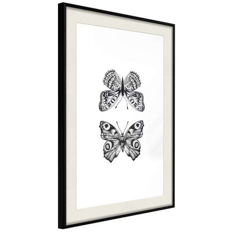 Plakat - Kolekcja motyli I - obrazek 1