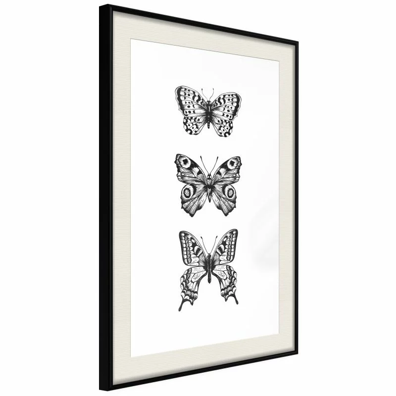 Plakat - Kolekcja motyli II - obrazek 1
