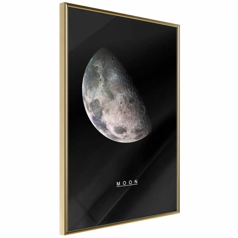 Plakat - Układ słoneczny: Księżyc - obrazek 1