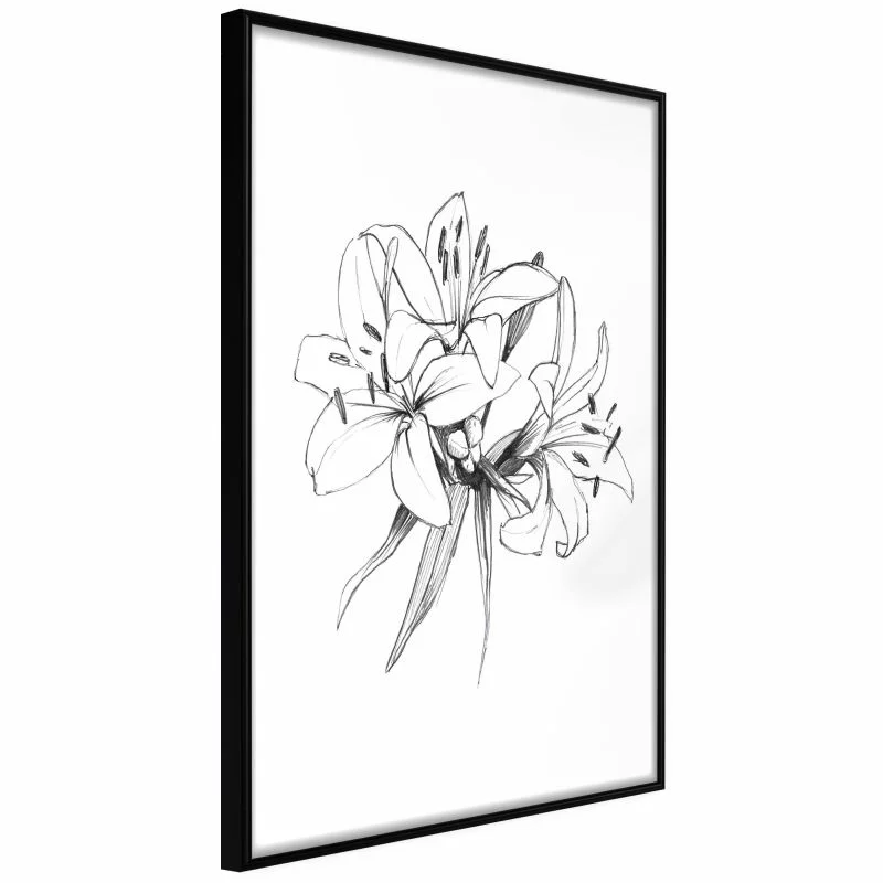 Plakat - Szkic lilii - obrazek 1