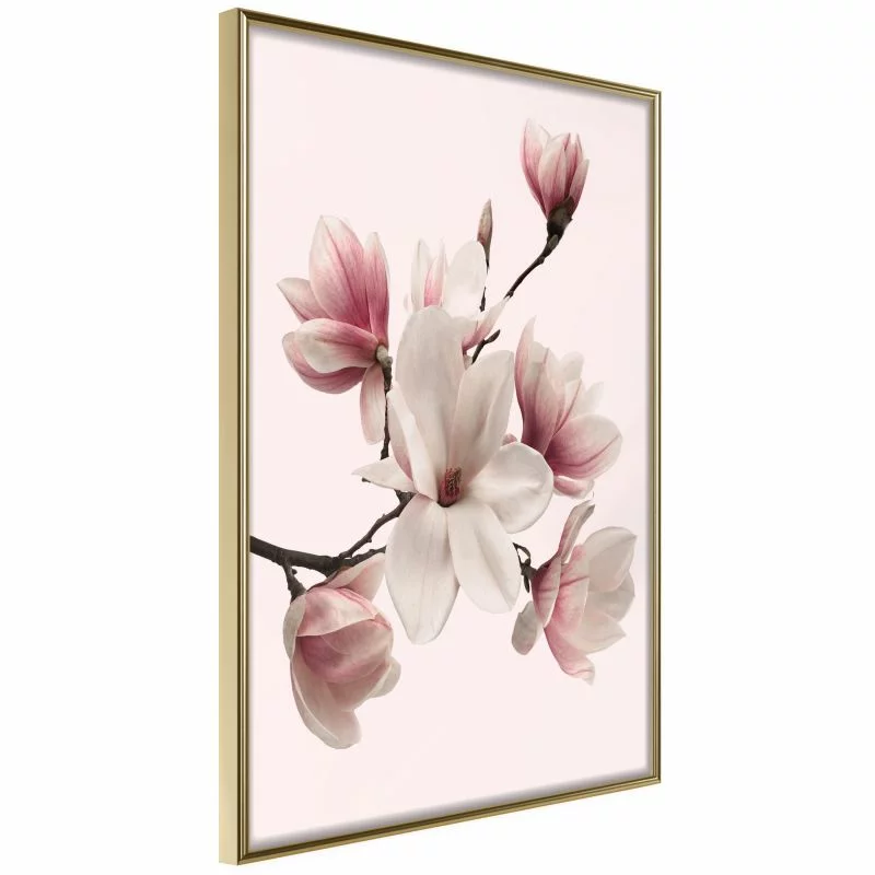 Plakat - Kwitnące magnolie I