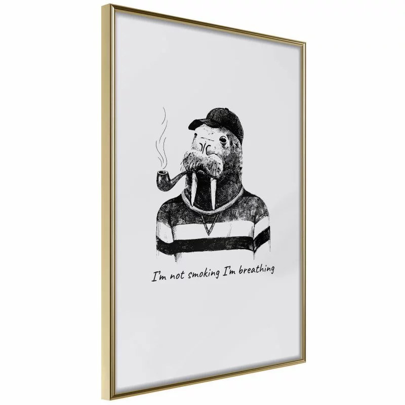 Plakat - Kapitan Mors - obrazek 1