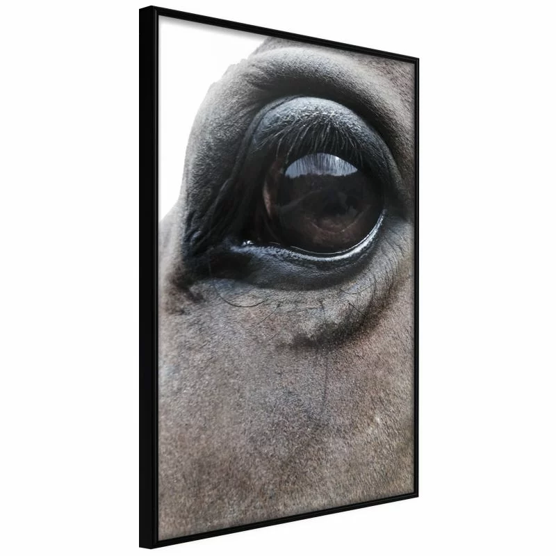 Plakat - Łagodne oczy - obrazek 1