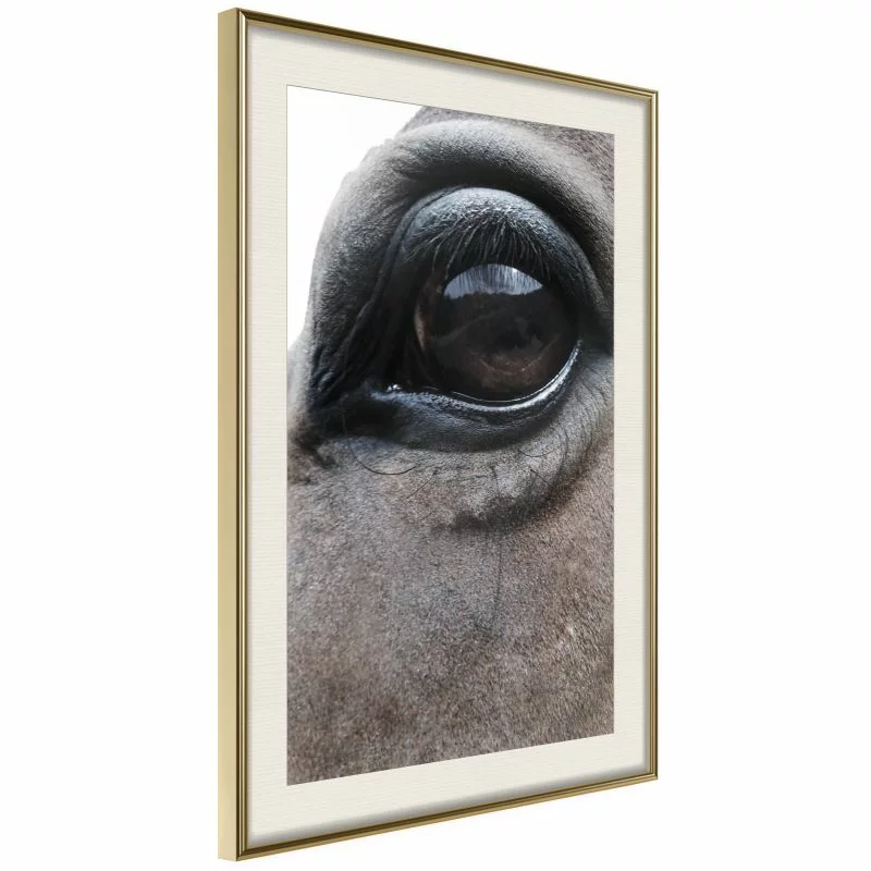 Plakat - Łagodne oczy - obrazek 1