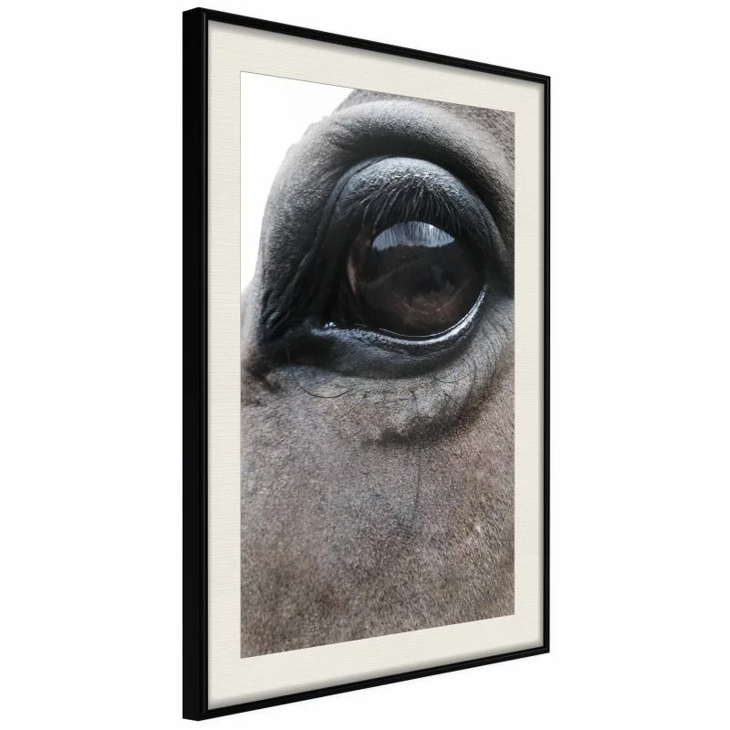 Plakat - Łagodne oczy - obrazek 1