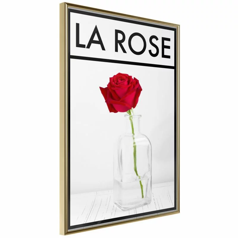 Plakat - Róża w wazonie