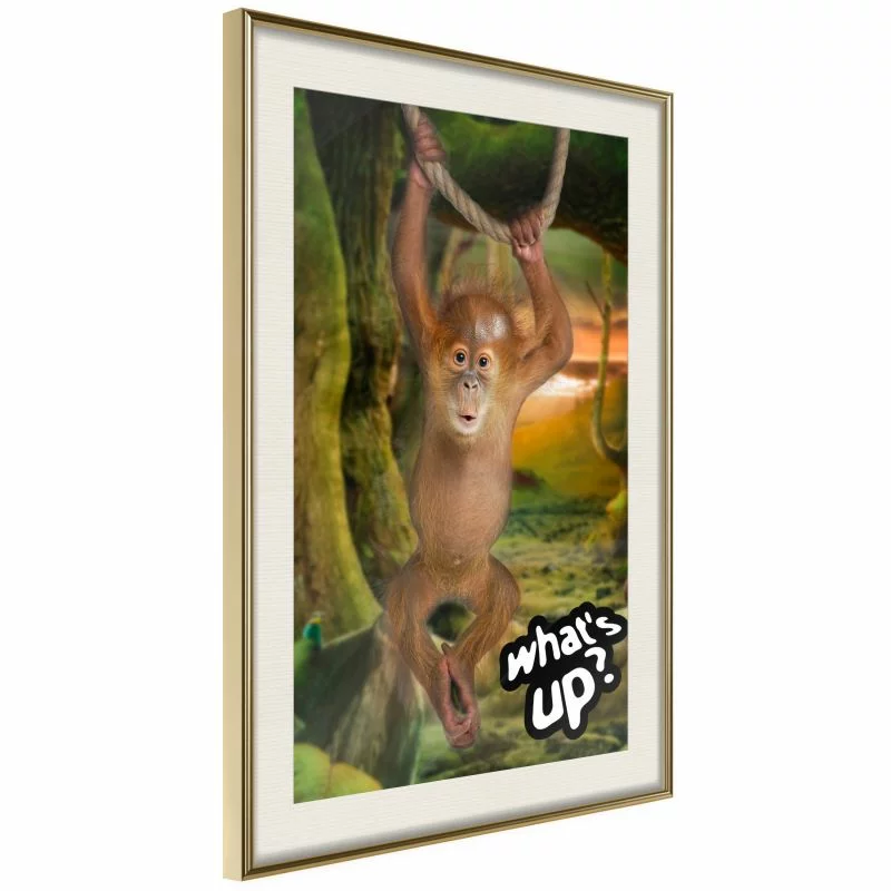 Plakat - Życie w dżungli