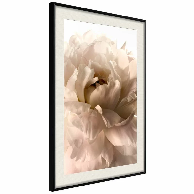 Plakat - Rozkwit - obrazek 1