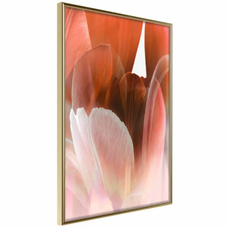 Plakat - Płatki tulipana
