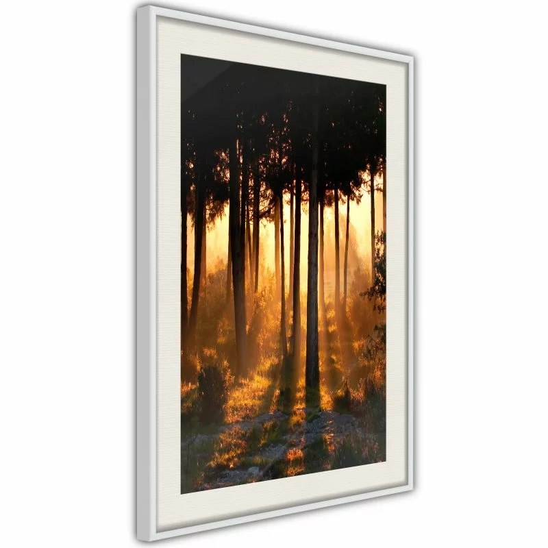 Plakat - Ciemne korony drzew