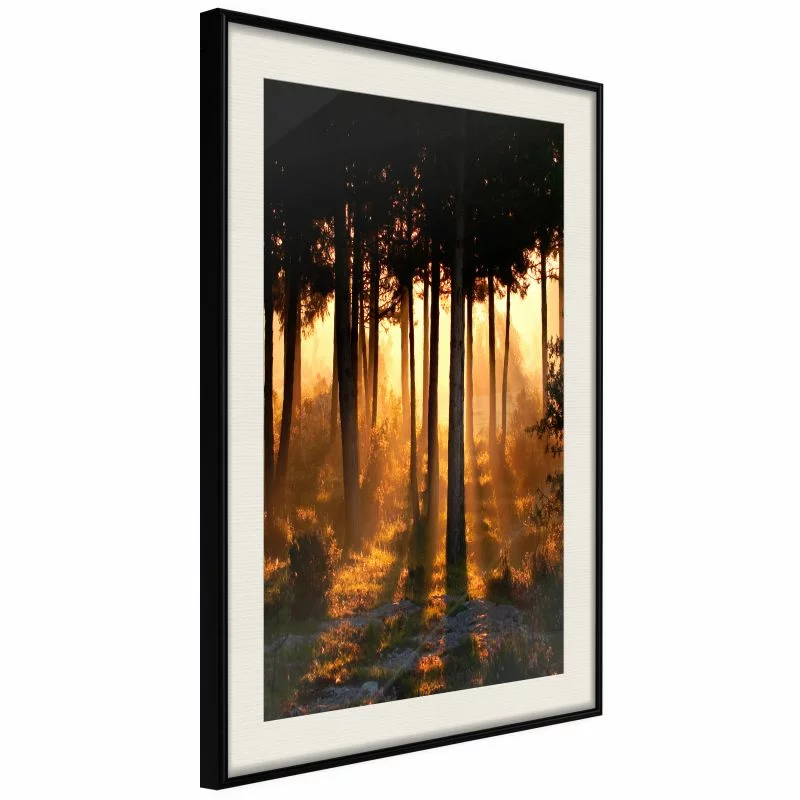 Plakat - Ciemne korony drzew