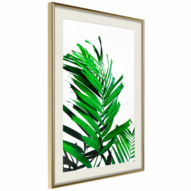 Plakat - Szmaragdowa palma