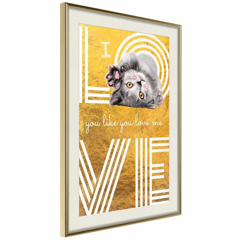 Plakat - Kocia miłość