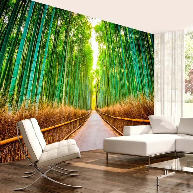 Fototapeta samoprzylepna - Bambusowy las