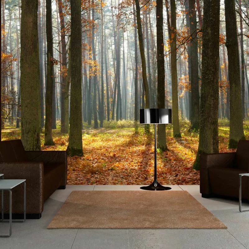 Fototapeta - Autumn trees - obrazek 1
