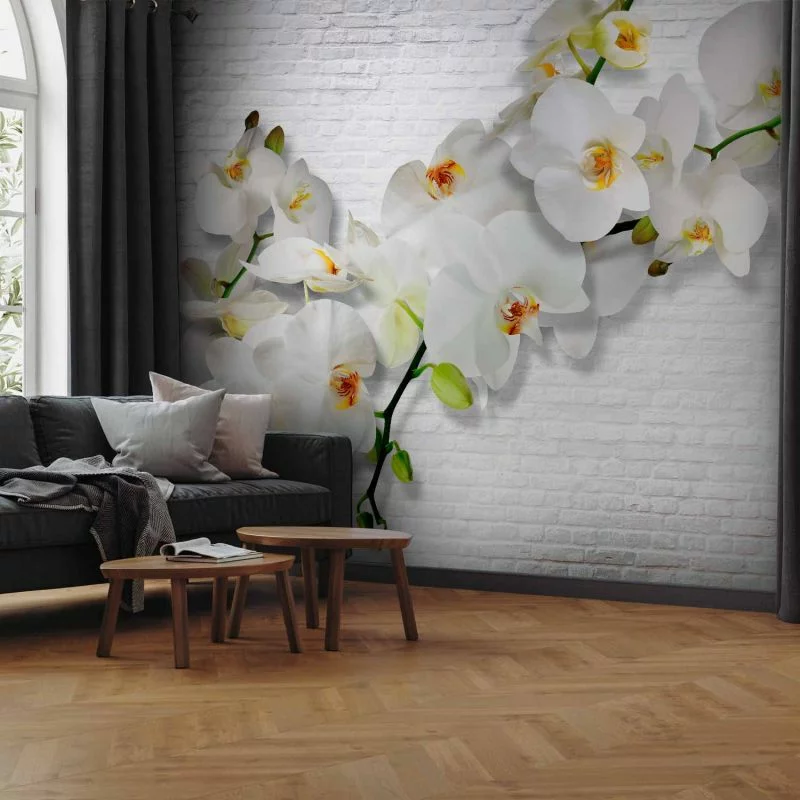 Fototapeta - Miejska orchidea - obrazek 1