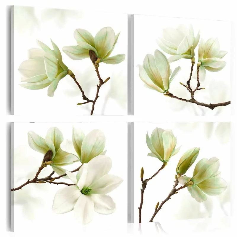 Obraz - Podziw magnolii - obrazek 1