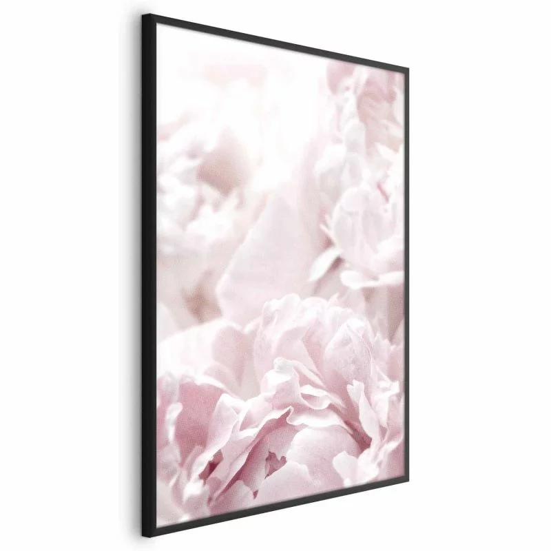 Plakat - Puszyste peonie - obrazek 1