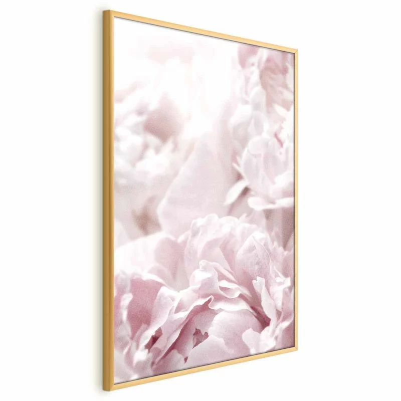 Plakat - Puszyste peonie - obrazek 1