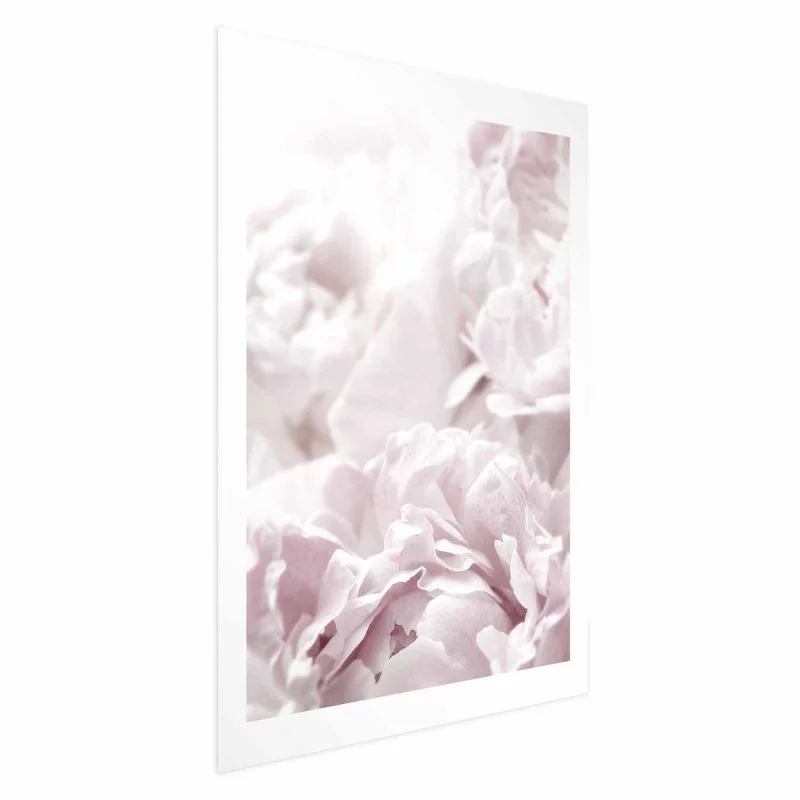Plakat - Puszyste peonie - obrazek 1