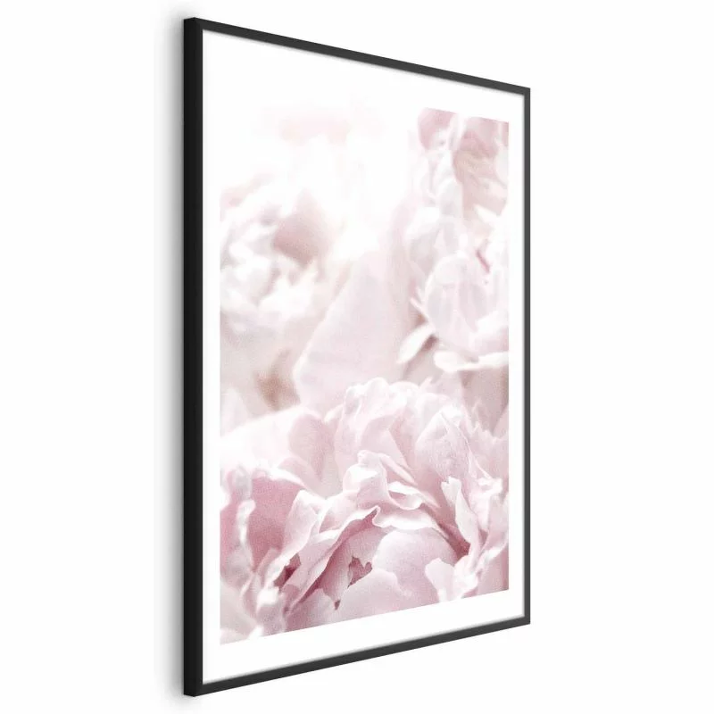 Plakat - Puszyste peonie - obrazek 1